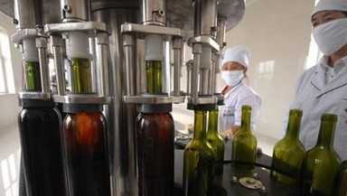 Özel Şarap Dolum Makinası / Şarap Şişeleme Ekipmanları / Şarap Şişesi Dolgu Maddesi